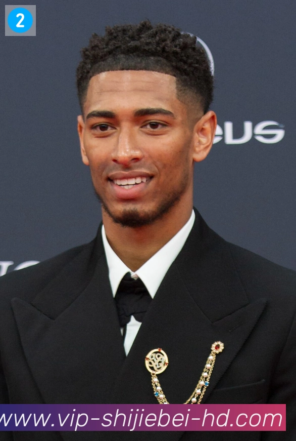 维尼修斯